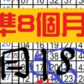 2月18日 六合彩 準8個月 獨支專車