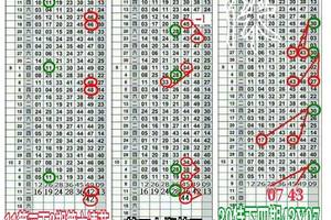 10/13六合彩版路 44.42. 43.07參考就好>>>祝今晚中2星