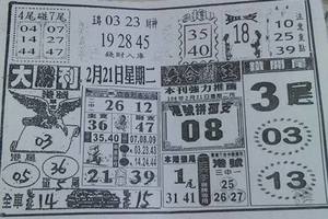 2/21大勝利~六合彩參考看看