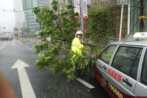 颱風逼近 粵陸空交通打結