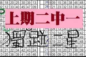 11月1日 六合彩 不定位 定點 加減碼 毒支 獨椪二星