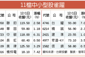 投信點火 11檔中小型股 量價齊揚