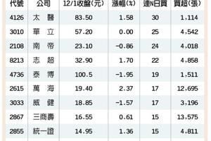 10檔法人力挺連買股 吸睛