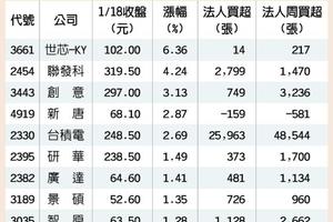 元/19 內有台積 外有輝達 AI概念股出頭天