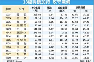 13檔低接籌碼加持 攻守兼備