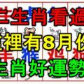 十二生肖看過來，這裡有2017年8月份生肖運勢！