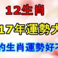 今年自己的生肖運勢好不好？超準的12生肖2017年運勢大全！