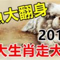 2018年鹹魚大翻身，五大生肖走大運！