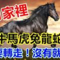 12月份家裡有【牛馬虎兔龍蛇】的人，一定要轉走！沒有就算了。