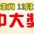 這些生肖，12月10日開始，最會中大獎，錢包滿滿