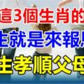 生下這3個生肖的孩子，出生就福緣深厚，有孝心是來報恩的！很孝順父母！