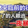 橫財來臨前的「徵兆」，遇到的人難逃「一夜暴富」！