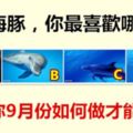 4條海豚，你最喜歡哪條？測試你9月份如何做才能有好