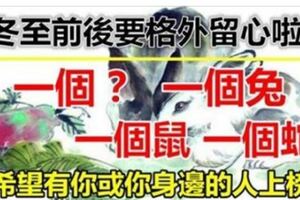 冬至前後，這四個屬相的人，要格外留心啦。大吉大利。