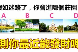 假如迷路了，你會進哪個莊園？測你最近能發財嗎