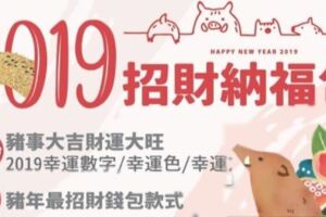 2019豬年最強，招財納福全集大公開！快來看你的幸運色、幸運數字…