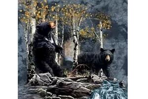 心理測試：圖中有多少只黑熊？測你是不是一個高智商的人才！