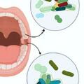 我們的口腔，竟然有一座「微生物城」