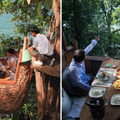 樹屋餐廳「坐在叢林半空用餐」還有絕美海景　工作人員「用繩索滑翔送餐」畫面超狂