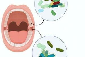 我們的口腔，竟然有一座「微生物城」