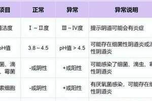 婦科報告單，看完這篇就明白