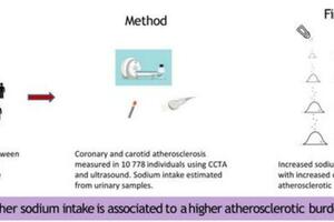 吃鹽多，傷血管！瑞典研究