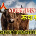 屬牛人:6月需要提防一個人，不可不防！別不信