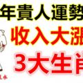 下半年貴人運勢強大，收入大漲的3大生肖！