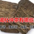 經常喝杜仲茶有哪些好處？杜仲真的可以降壓嗎？