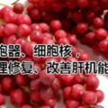 為什麼五味子能夠修復肝損傷？保護細胞器、細胞核，促進病理修復、改善肝機能來實現