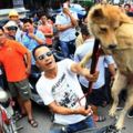 網友力挺合法吃狗肉！眾人看到都氣得要死，卻被他「一句話反問」嗆得說不出話....！