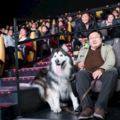 愛看電視的「10歲阿拉斯加雪橇犬」即將失明，主人霸氣請影城破例包場帶它看電影！
