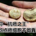 它自稱「抗癌之王」每天吃點癌細胞不敢靠近