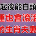 在一起後能夠白頭偕老,財運也會滾滾來的生肖夫妻！