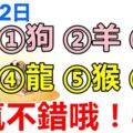 10月12日，生肖狗、羊、虎、龍、猴、豬！運氣不錯哦！