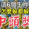 誰屬這6個生肖之一，12月怎麼躲都躲不過中頭獎。你有上榜嗎？