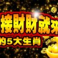 今日接財財就來的5大生肖