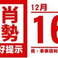 來看看，生肖運勢，天天好提示（12月16日）