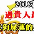 2018狗年，遇貴人最多最走狗屎運的生肖！