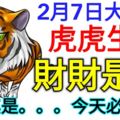 2月7日大財運！虎虎生威！這幾個生肖財財是到！由其是。。。今天必轉！