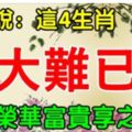 算命說：這4生肖大難已過，2018年左右逢源，榮華富貴享之不盡！