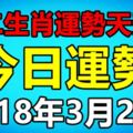 十二生肖運勢天天看，今日運勢：3月22日