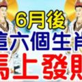 6月後，這六個生肖破財運已過，馬上發財！