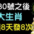 家中有此8大生肖，6月30號之後連續8天發8次橫財，接住了！【8888】