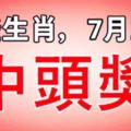 這些生肖，7月25日，中頭獎！