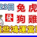 8月23日生肖運勢_兔、虎、羊大吉