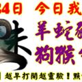 8月24日，今日我最旺！羊蛇豬龍狗猴牛鼠！【58888】越早打開越靈驗！點個讚吧！