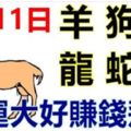 9月11日生肖運勢_羊、狗、虎大吉