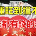 11月份財運旺到擋不住，比誰都有錢的五大生肖