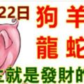 11月22日生肖運勢_狗、羊、虎大吉